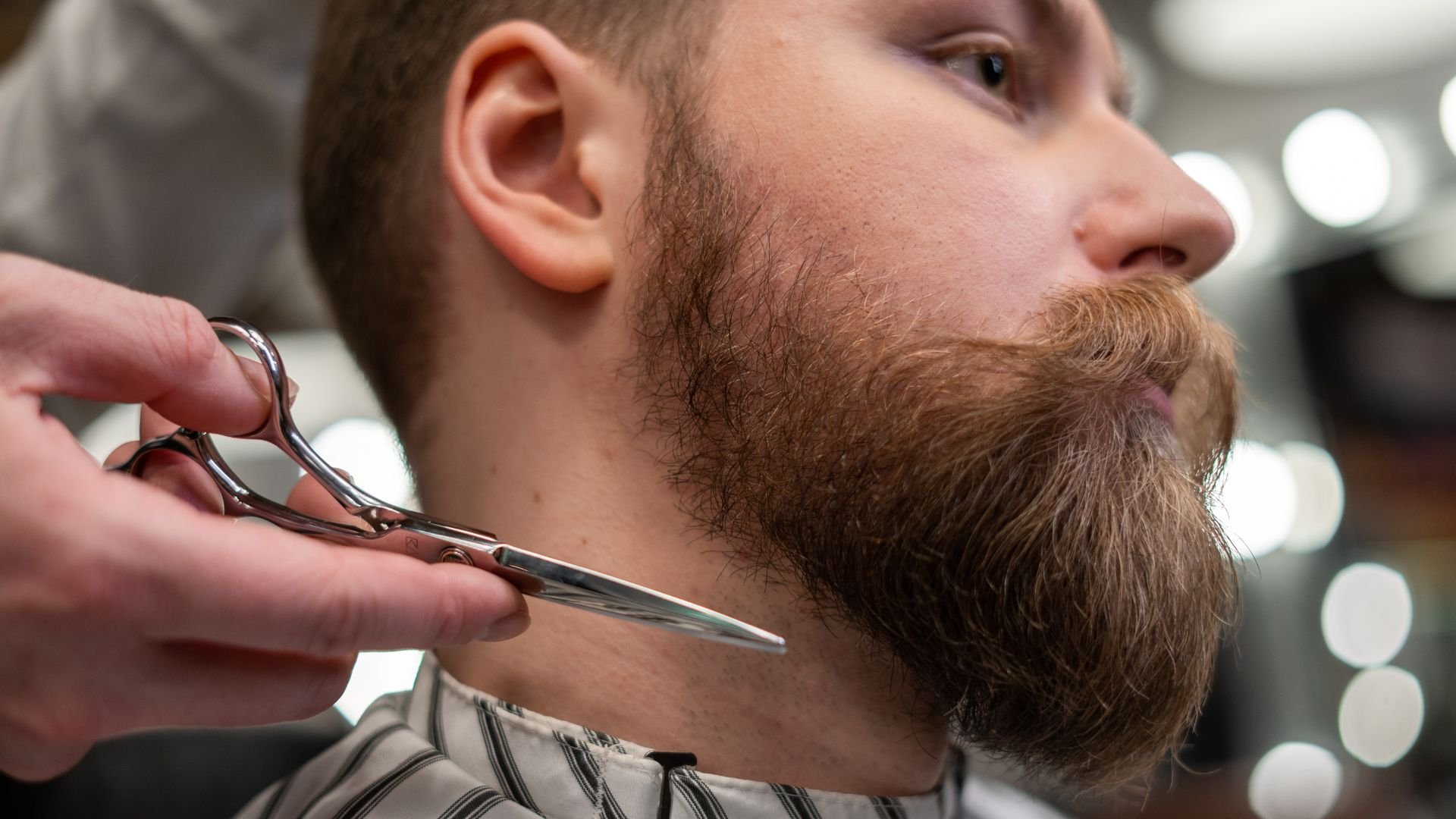 Barber trimming beard with scissors in professional barbershop